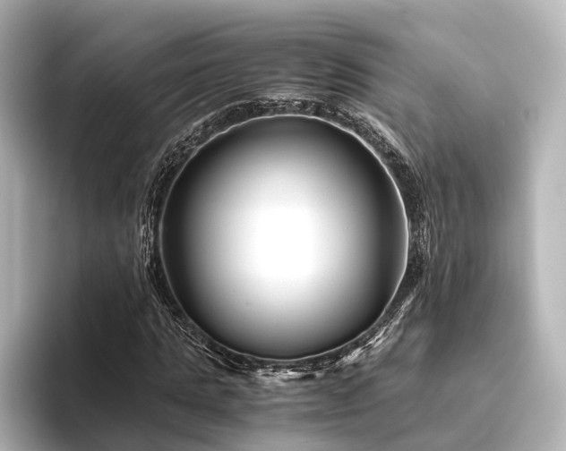 X0000096400821200801241159