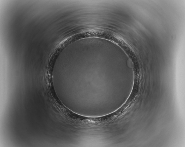 X0000096400822200801241159