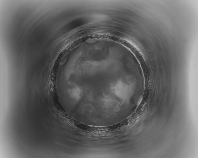 X0000096400823200801241159