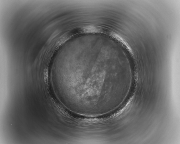 X0000096400825200801241159