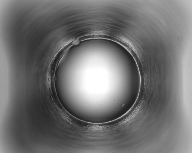 X0000096400827200801241159