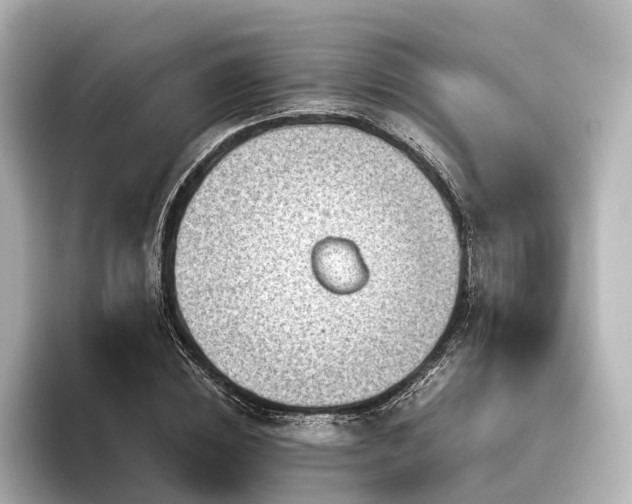 X0000096400828200801241159