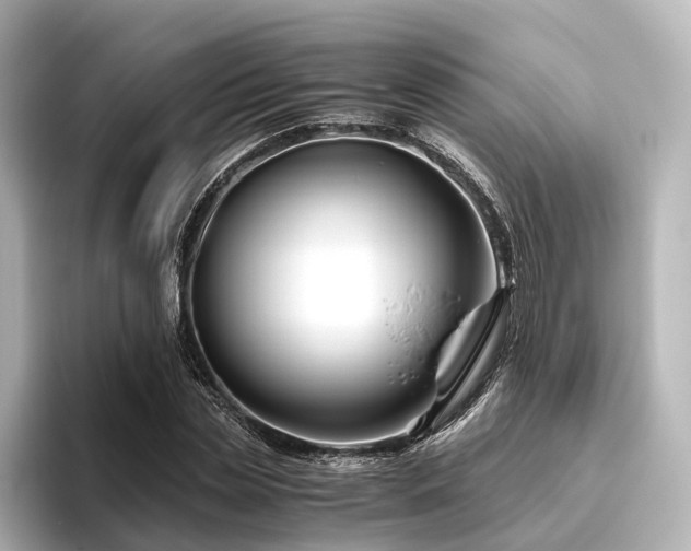 X0000096400829200801241159