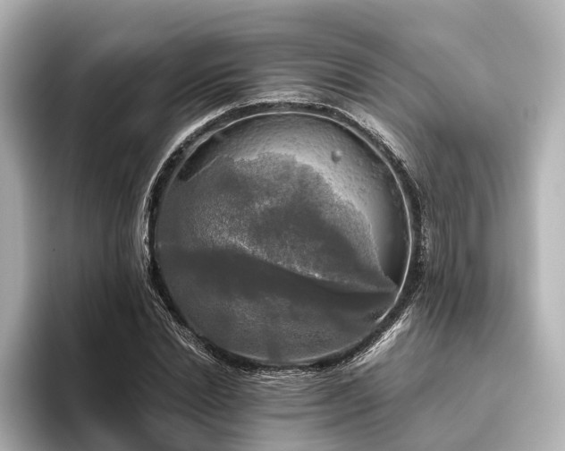 X0000096400830200801241159