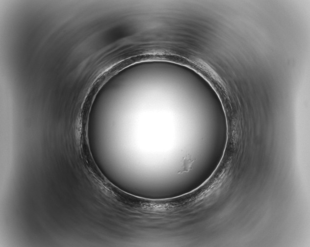 X0000096400831200801241159