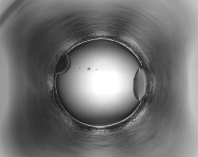 X0000096400833200801241159