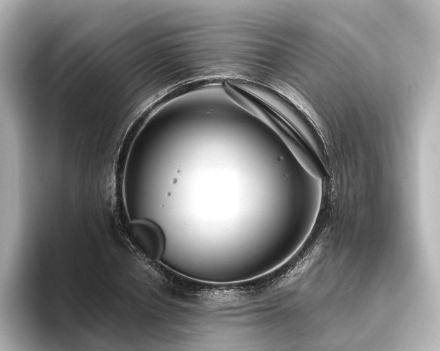 X0000096400834200801241159