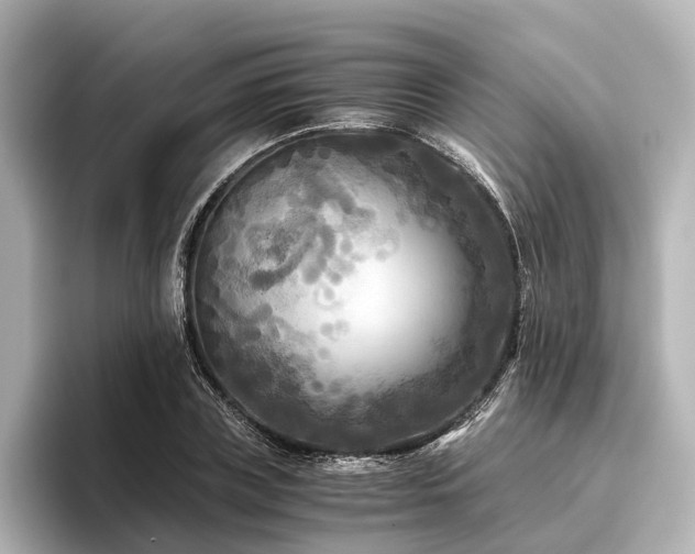 X0000096400835200801241159