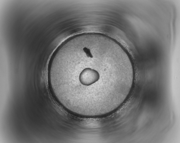 X0000096400836200801241159