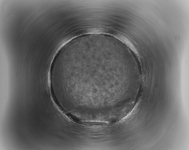 X0000096400839200801241159