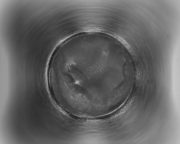 X0000096400840200801241159