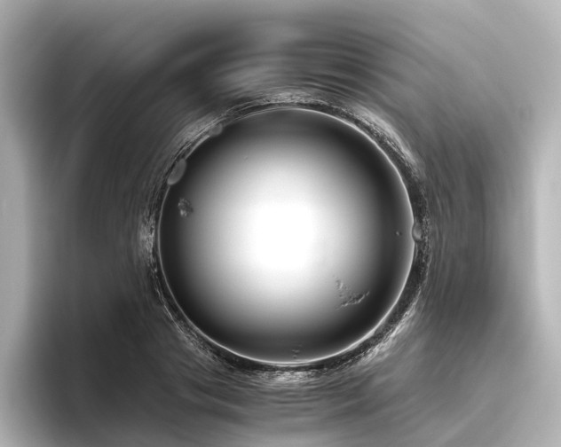 X0000096400841200801241159