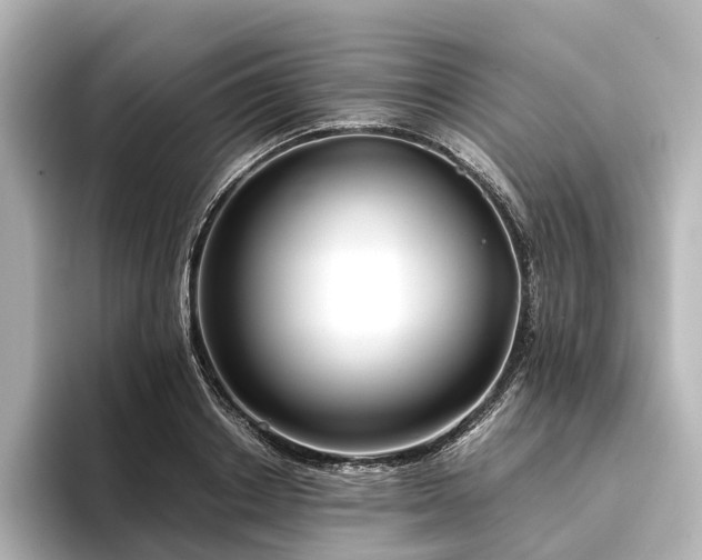 X0000096400842200801241159