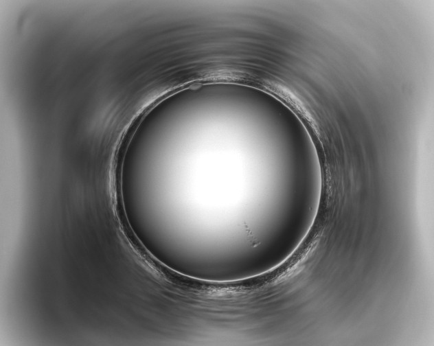 X0000096400843200801241159