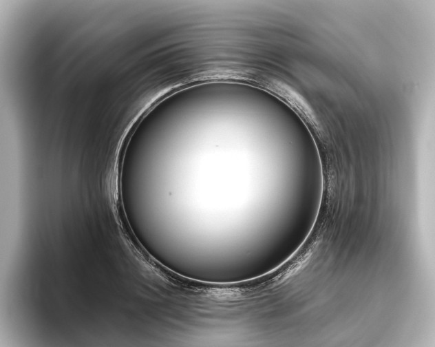 X0000096400844200801241159