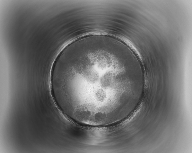 X0000096400845200801241159