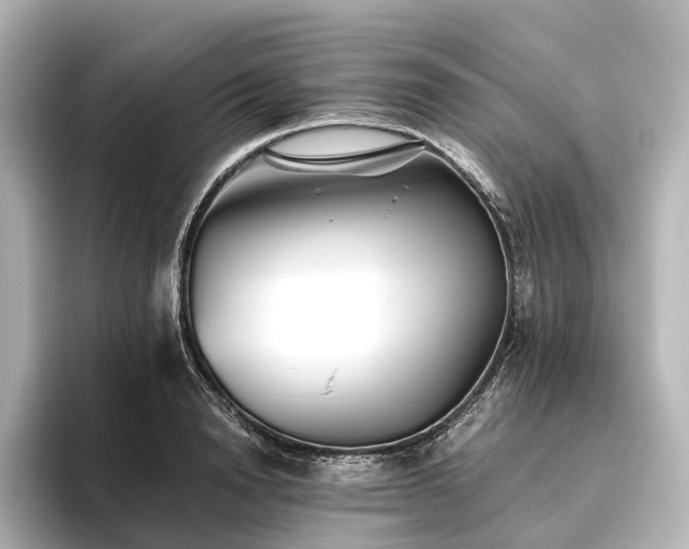 X0000096400846200801241159