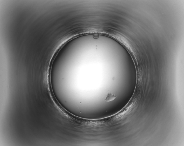 X0000096400847200801241159