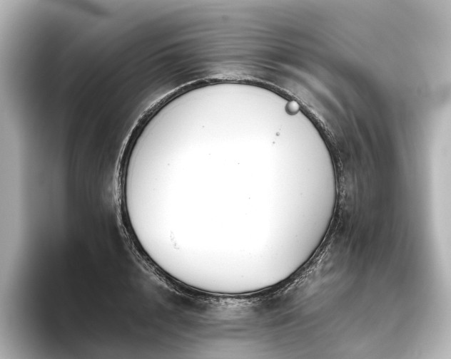 X0000096400848200801241159