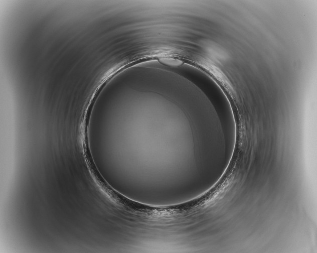 X0000096400850200801241159