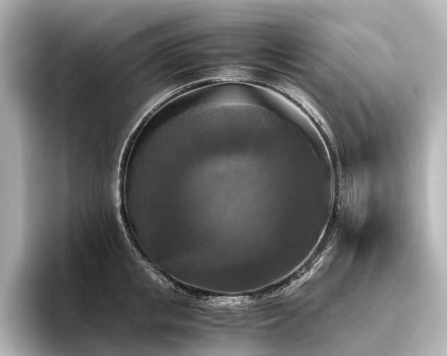 X0000096400853200801241159