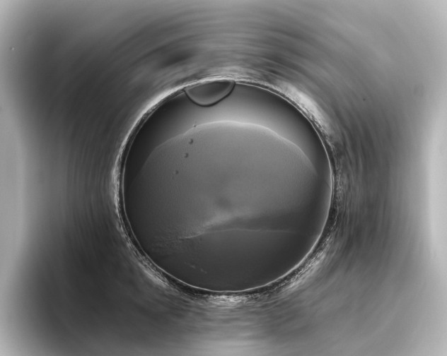 X0000096400854200801241159