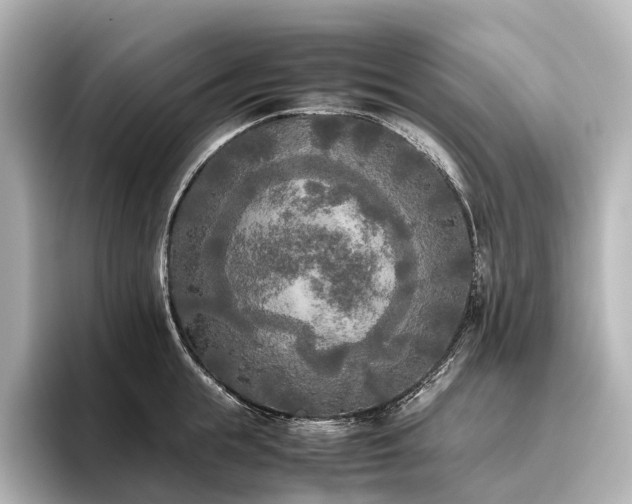 X0000096400855200801241159