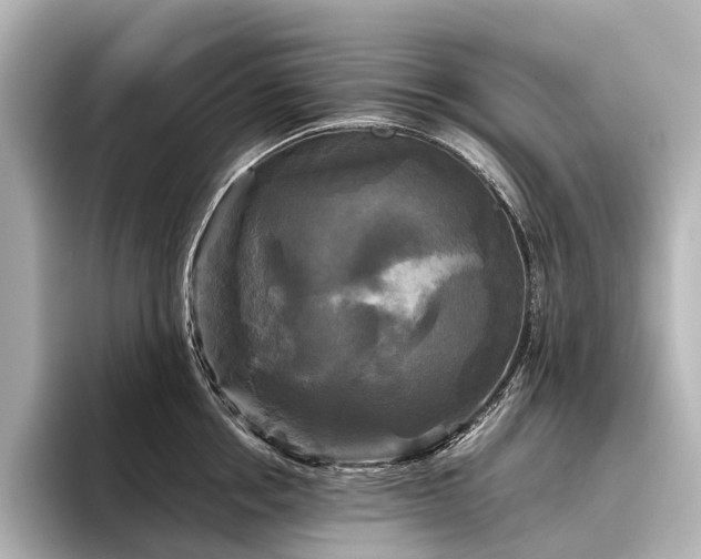 X0000096400858200801241159