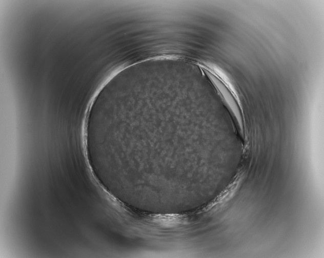 X0000096400859200801241159