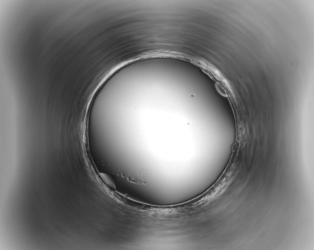 X0000096400860200801241159