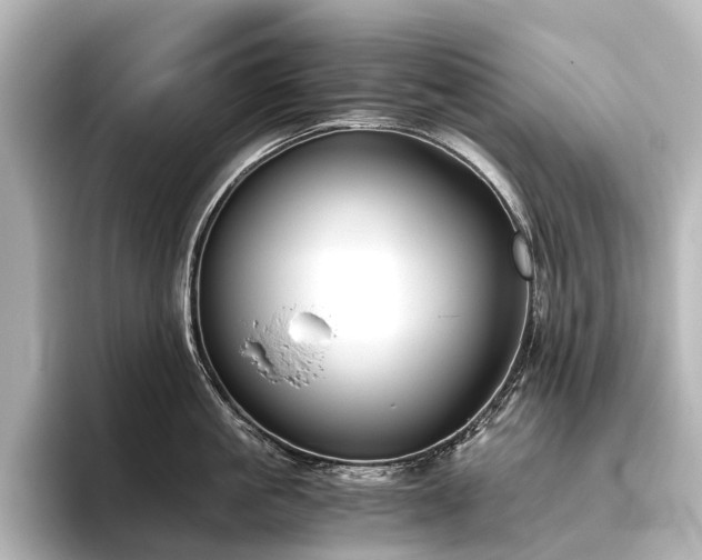 X0000096400861200801241159