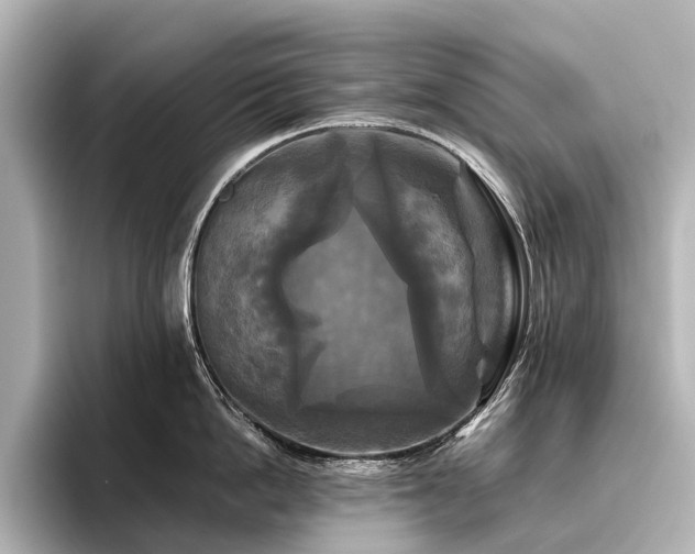 X0000096400862200801241159