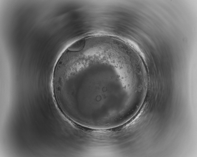 X0000096400863200801241159