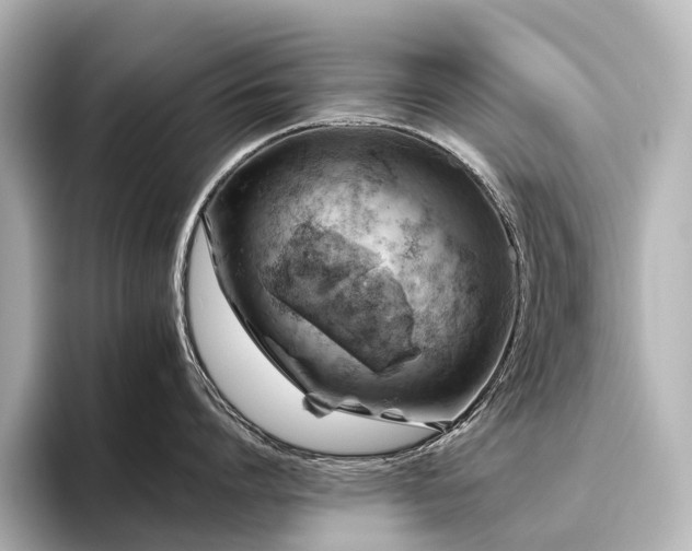 X0000096400864200801241159