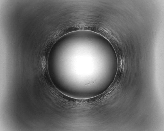 X0000096400866200801241159