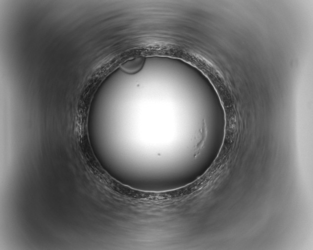 X0000096400869200801241159