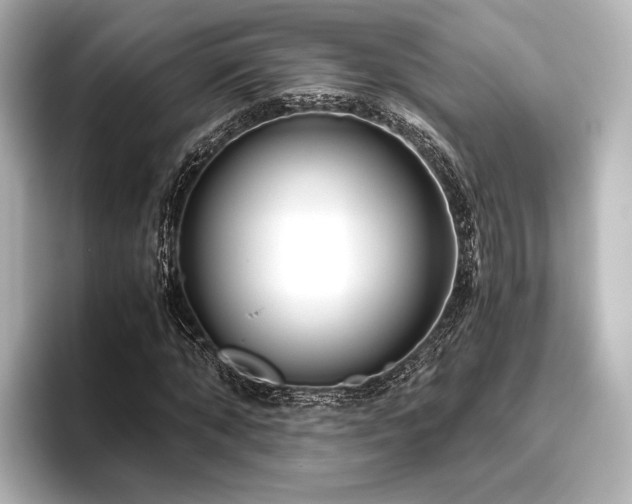 X0000096400870200801241159