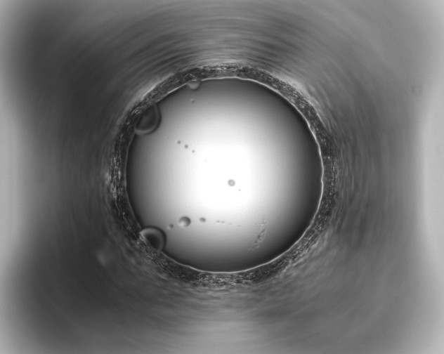 X0000096400871200801241159