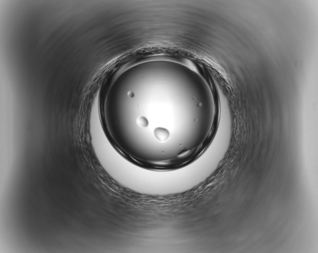 X0000096400872200801241159