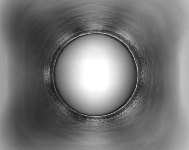 X0000096400873200801241159