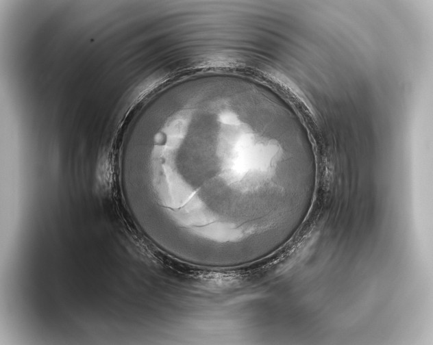 X0000096400874200801241159