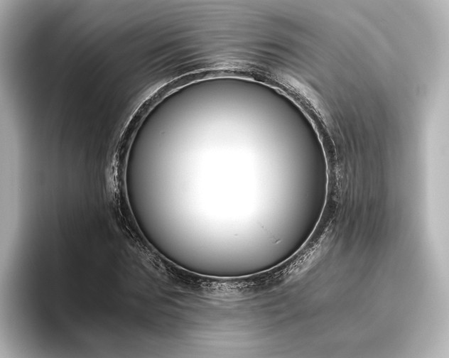 X0000096400875200801241158