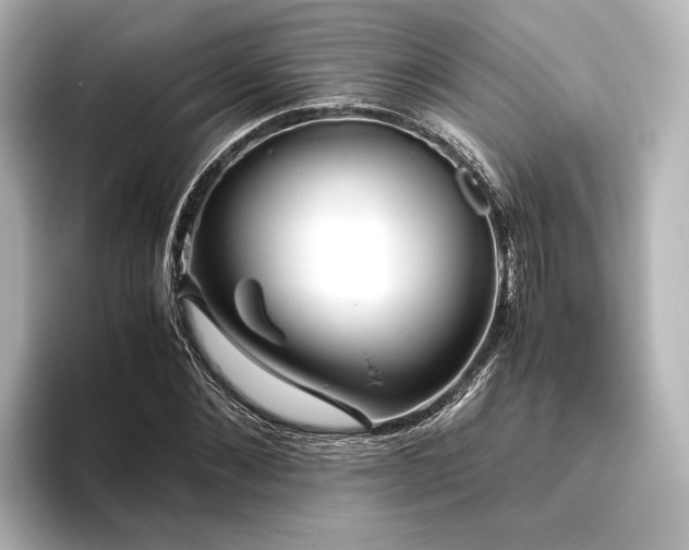 X0000096400876200801241158