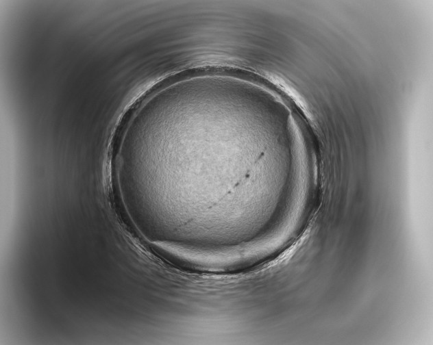 X0000096400877200801241158