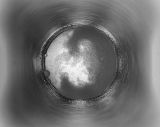 X0000096400878200801241158