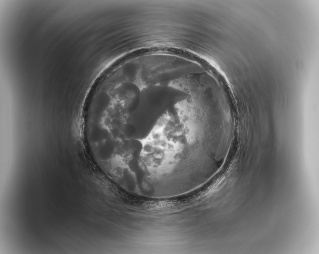 X0000096400879200801241158