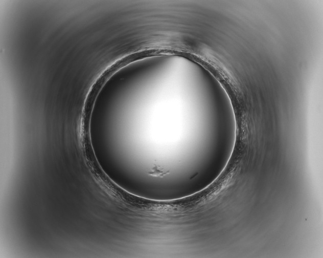 X0000096400880200801241158