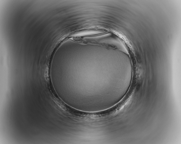 X0000096400881200801241158