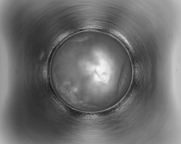 X0000096400882200801241158