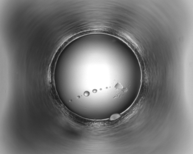 X0000096400883200801241158